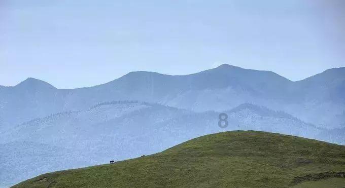 快来选出你心里的岛城火锅NO.1