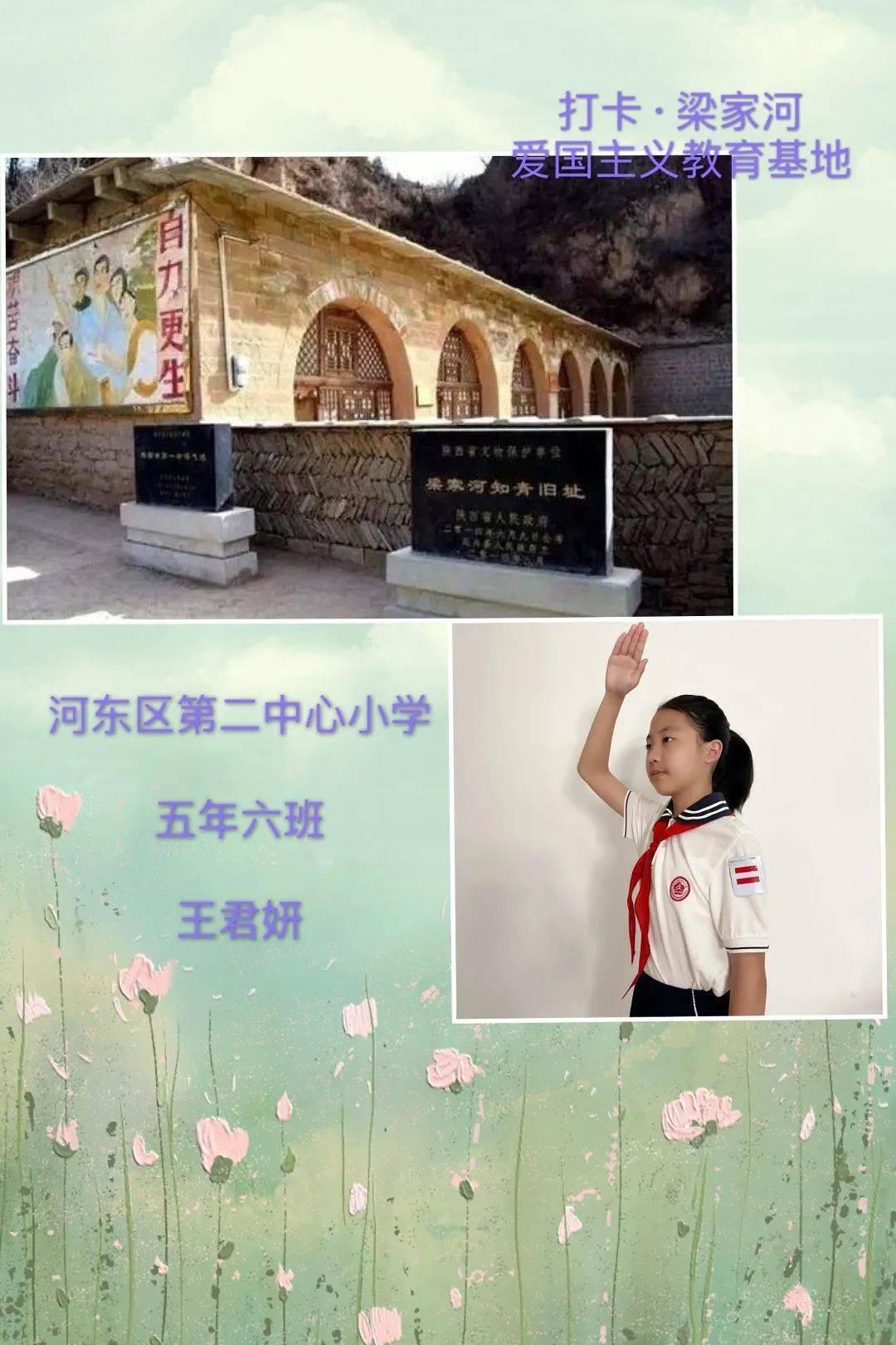 救援可爱小猪仔