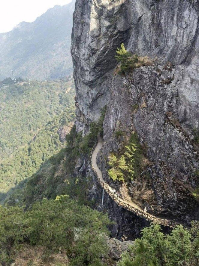 僵尸跳跳跳